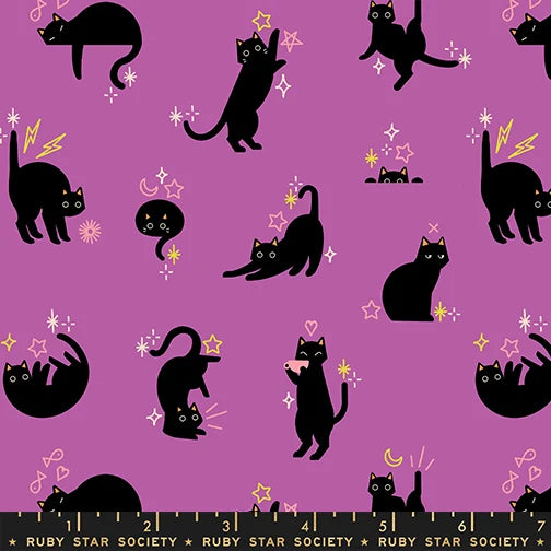 Ruby Star Society - Freaky Familiars - Catwalk - Witchy - RS519313