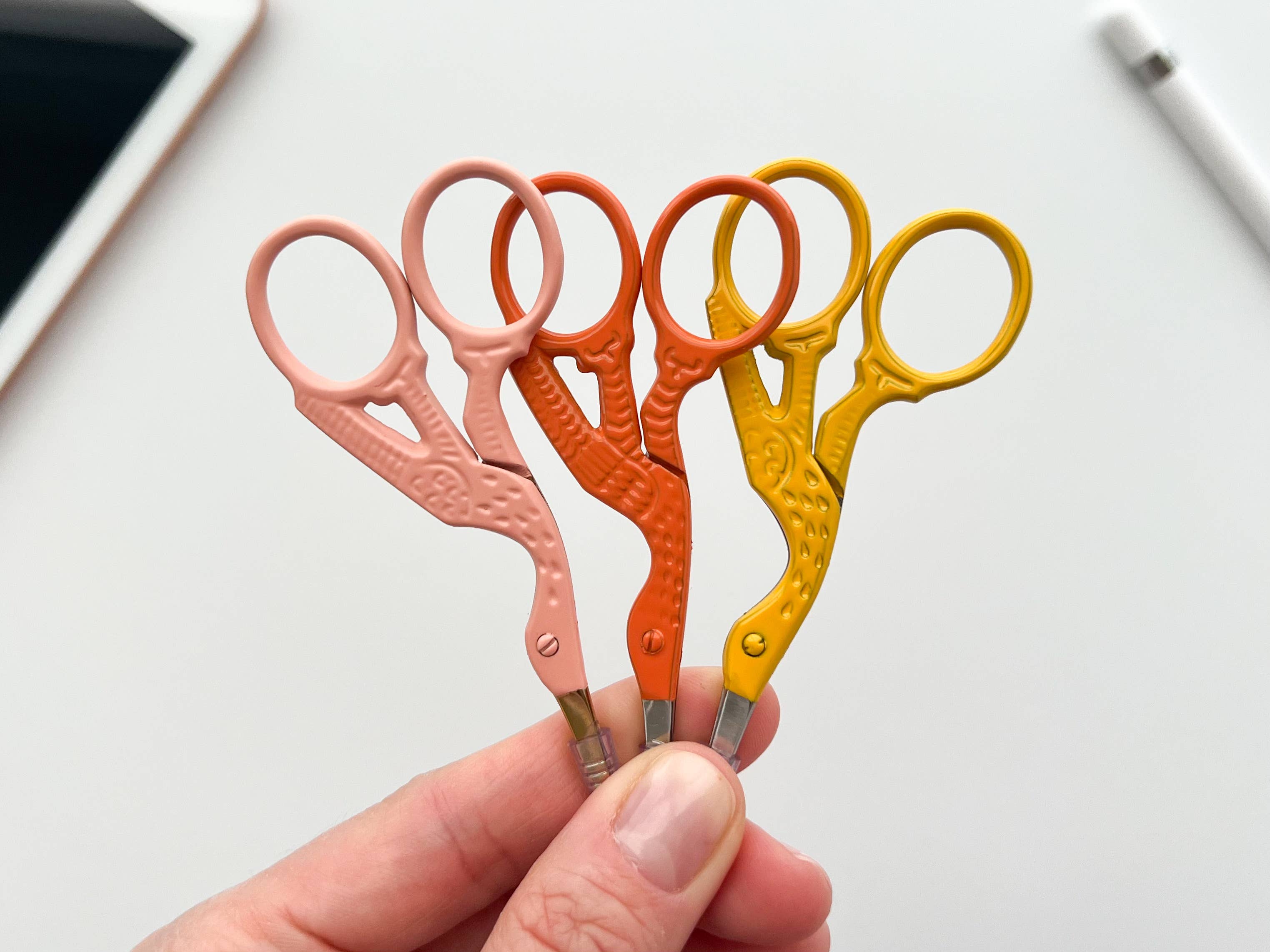 Bird Scissors