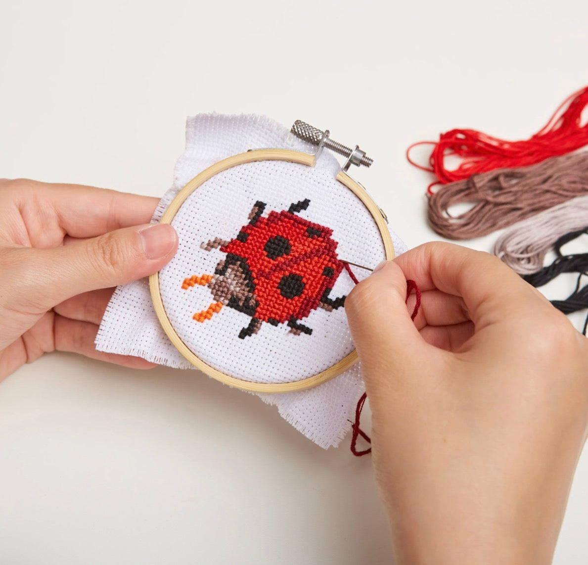 Ladybug Mini Cross Stitch Embroidery Kit