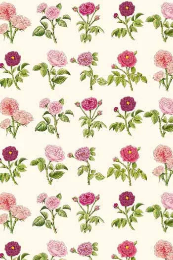 20 Sewing Needles Booklet - Josephine’s Roses