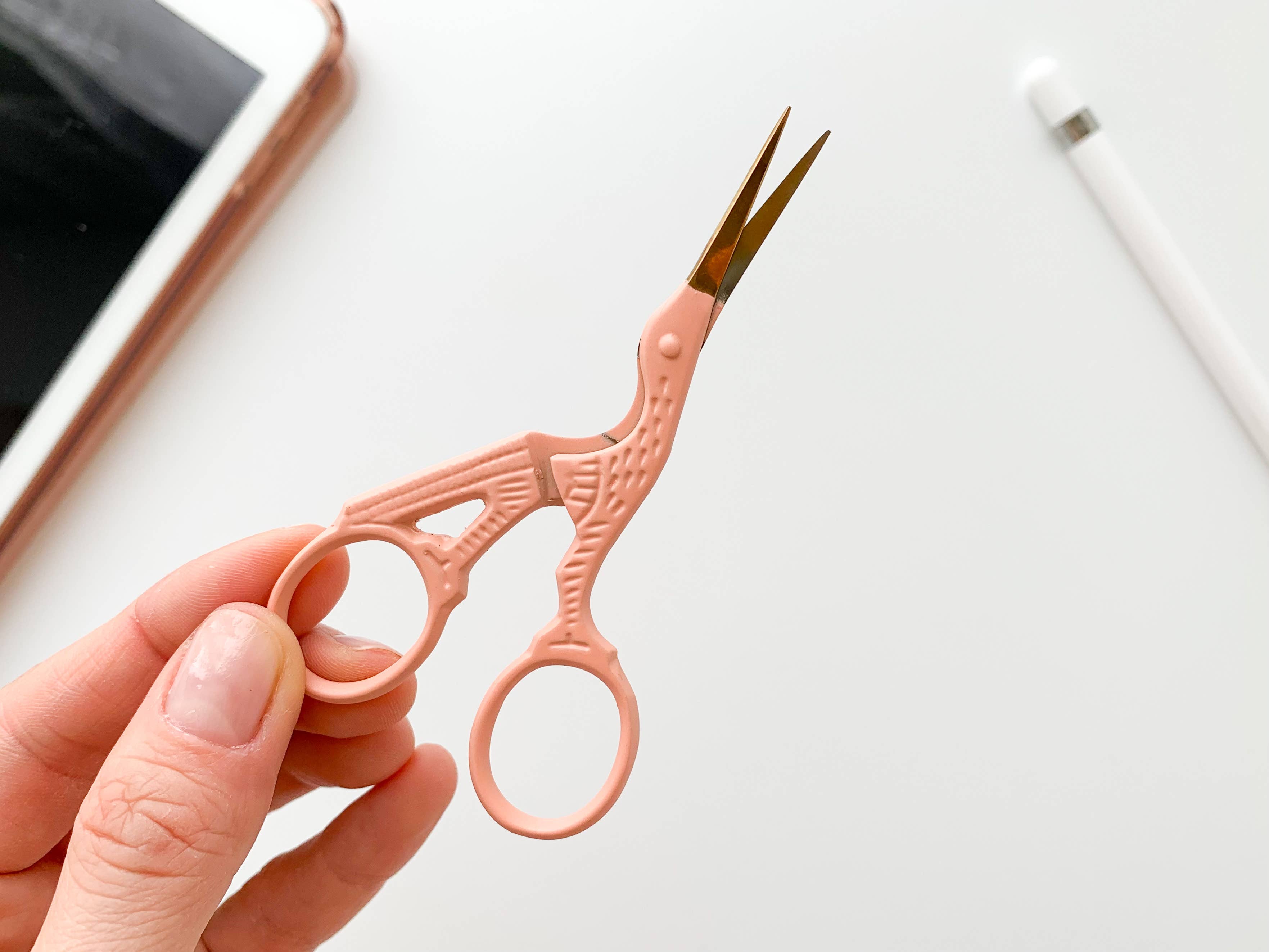 Bird Scissors