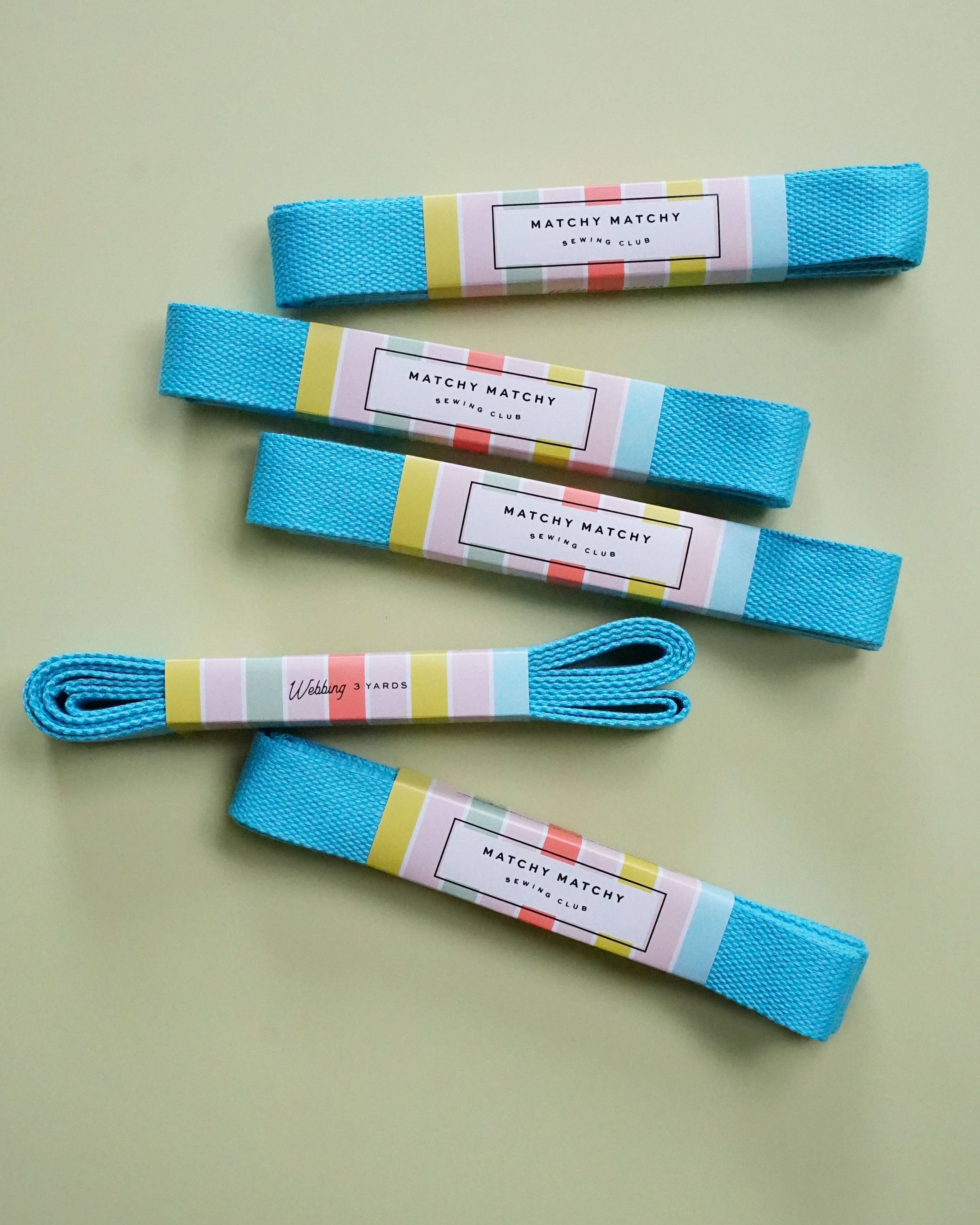 Turquoise Webbing